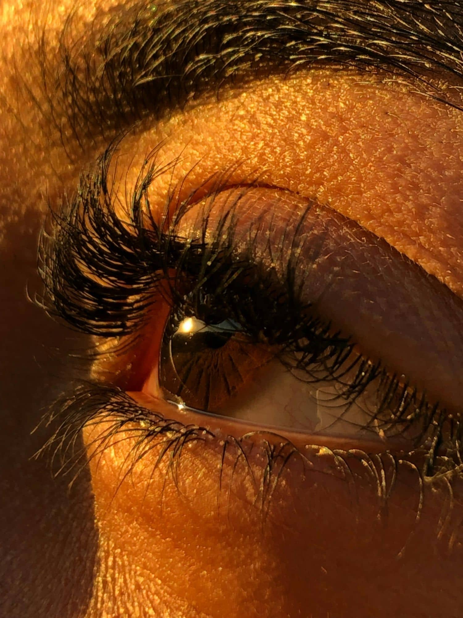 Close-up of a fanned lash line in warm light